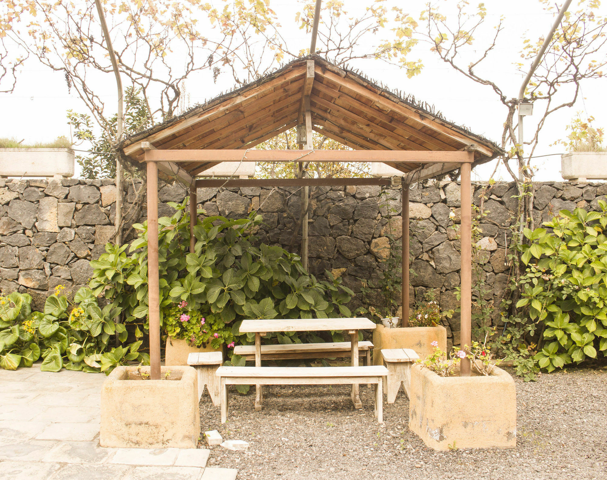 Casa Rural La Tanquera Los Realejos Exterior foto